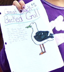 Riki's illustration of a great black-backed gull.