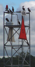 Cormorants perch atop a navigational beacon.