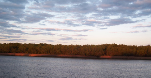 Rosy sunlight creeps across the trees along Athens Channel at sunset.