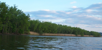 A view of the reedy mashland alongside the Athens Channel.