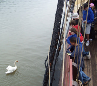 Students on the weatherdeck and a swan in the water casually size each other up.