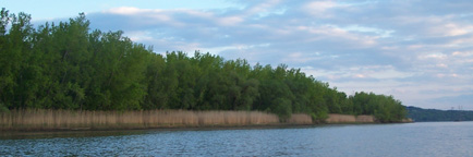 Wetlands seen from the Athens Channel.