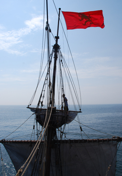 Nick in the fore top.