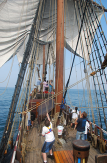 The crew sets the main course bunts.