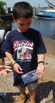 Jamie shows off the squid he collected in the salt marsh.