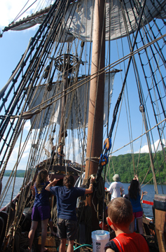 Setting the main course.