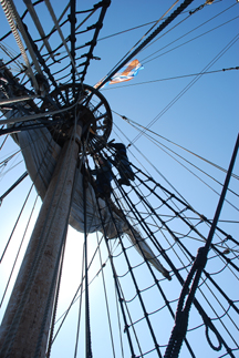 Mr. Gorter climbs aloft.