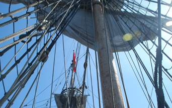 Setting the main course.