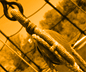 Mechanical Advantage