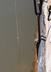 A Secchi disk rises into view from the water.