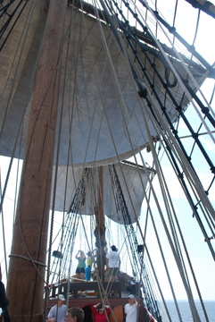 The courses are set.