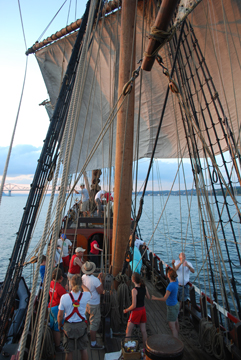 Sunset cloaks the sails in a rosy hue.