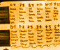 The Duty Roster
