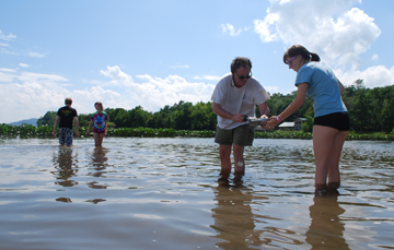 Alex, Nora, Mr. Linehan, and Evi stand knee-deep in the river while collecting soil samples.