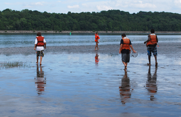 Matt G., Alanna, Vincent, and Deniro explore a tidal flat at low tide.